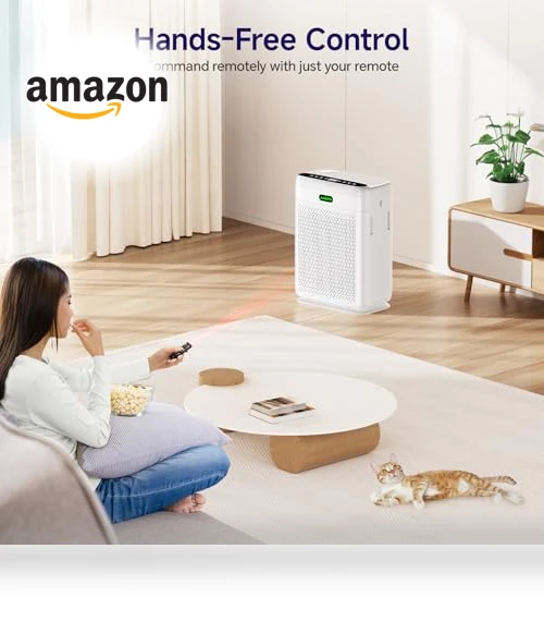 Large Room Air Purifier — Activated Carbon Air Purifiers, AMEIFU