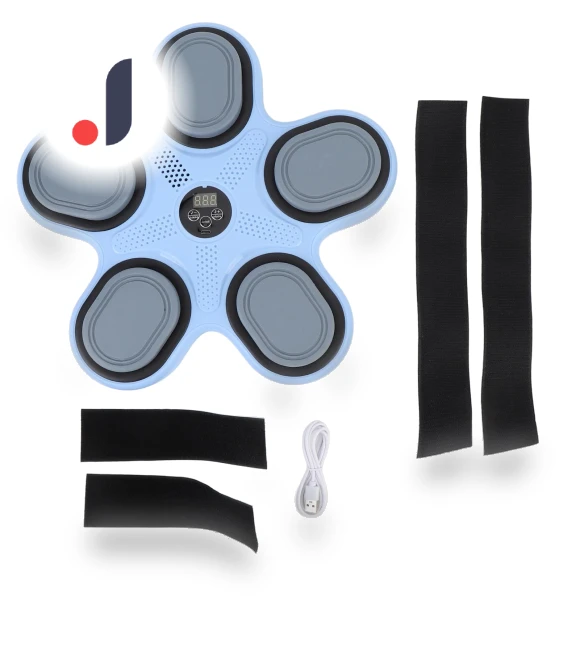 Smart Bluetooth Wall-mounted Boxing Trainer — Boxing Training Gear, Fishine