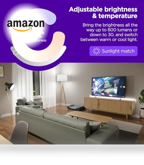 Smart Light Bulb — LED, Roku