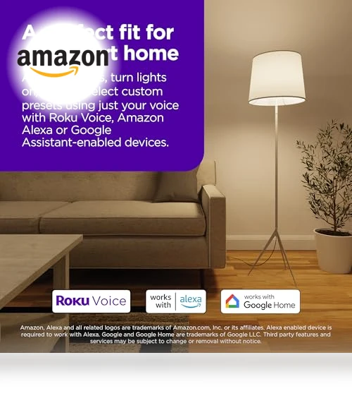 Smart Light Bulb — LED, Roku