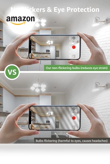 Dimmable LED Light Bulbs — LED, Lepro