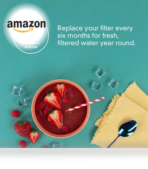 Ice and Water Refrigerator Filter — Refrigerator Filters, EveryDrop by Whirlpool