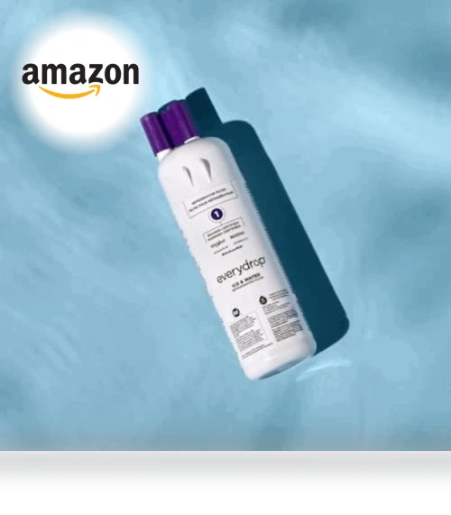 Ice and Water Refrigerator Filter — Refrigerator Filters, EveryDrop