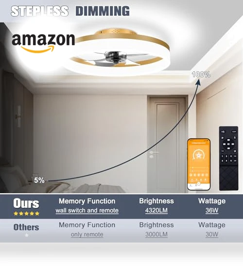 Low Profile Ceiling Fan with Lights and Remote — Ceiling Fan Lighting Solutions, VOLISUN