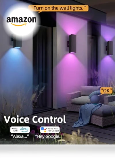 Smart Outdoor Wall Lights — Garden Illumination, KIZON