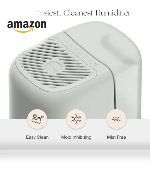 Bedside Humidifier — Air Moisturizers, Canopy