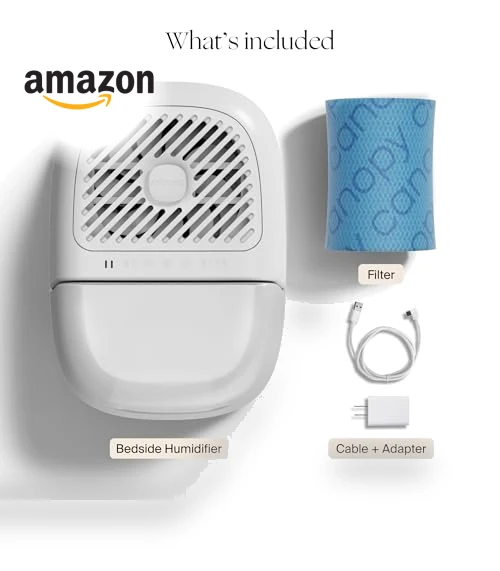 Bedside Humidifier — Air Moisturizers, Canopy