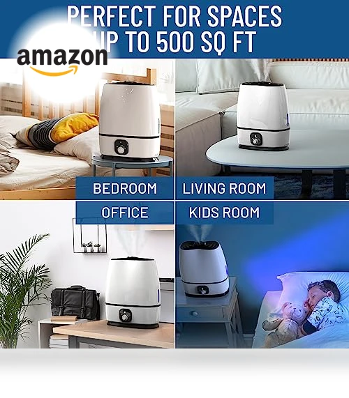 Cool Mist Humidifier — Air Moisturizers, Everlasting Comfort