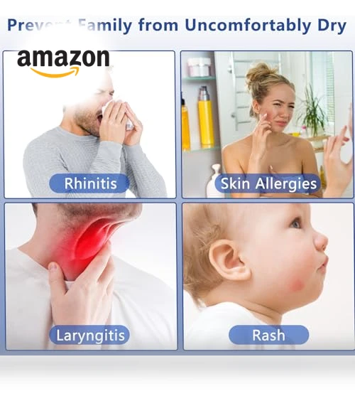 Portable Small Humidifier — Air Moisturizers, SZO
