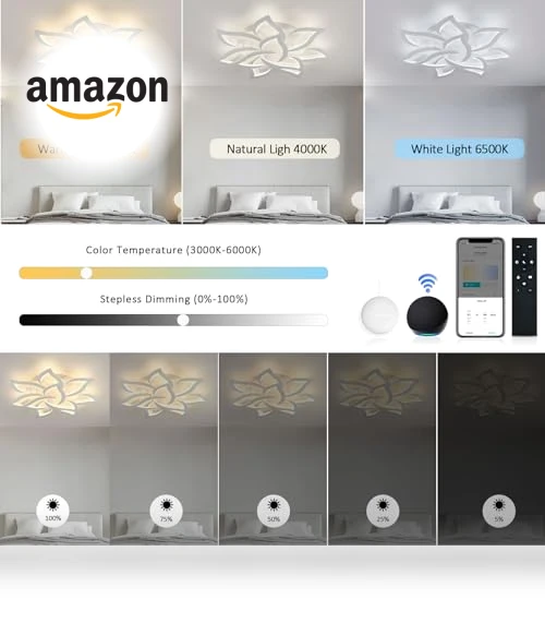 Smart Ceiling Light Fixture — Overhead Lighting, SKY ANGLE