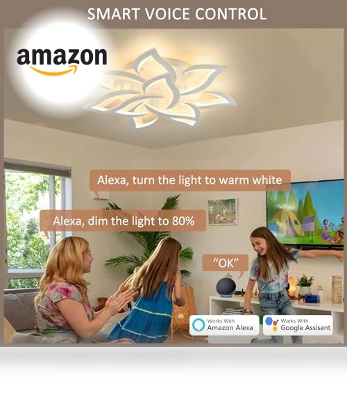 Smart Ceiling Light Fixture — Overhead Lighting, SKY ANGLE