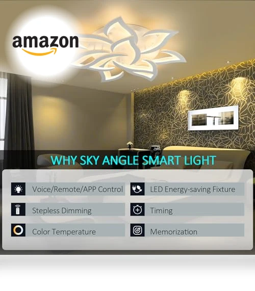Smart Ceiling Light Fixture — Overhead Lighting, SKY ANGLE