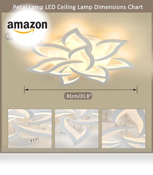 Smart Ceiling Light Fixture — Overhead Lighting, SKY ANGLE