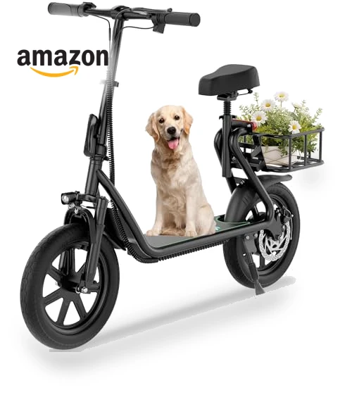 Electric Scooter — Electric Self-Balancing Scooters, Roinside