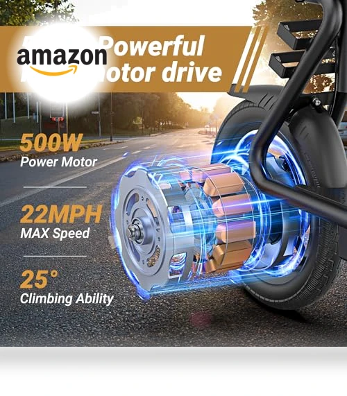 Electric Scooter — Electric Self-Balancing Scooters, Roinside