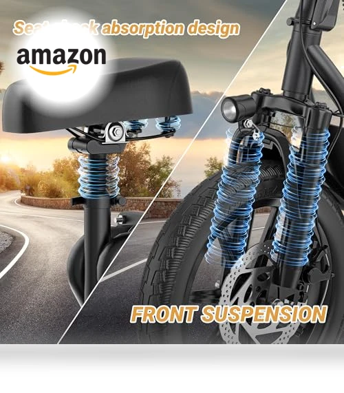 Electric Scooter — Electric Self-Balancing Scooters, Roinside