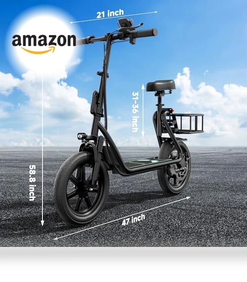 Electric Scooter — Electric Self-Balancing Scooters, Roinside