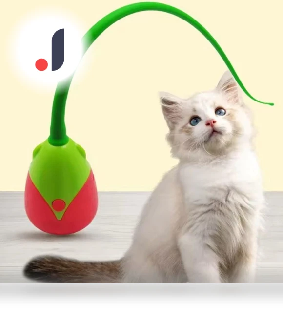 Rechargeable Electric Cat Ball Toy — Cat Playthings, QDlihao