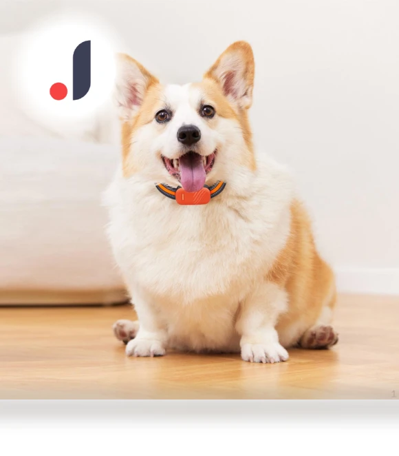 Portable Smart GPS Dog Collar — Trackers, Love DIY