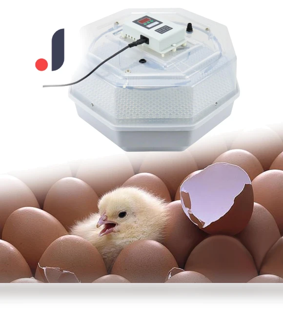 Smart Automatic Egg Incubator — Egg Trays, Colorful summer