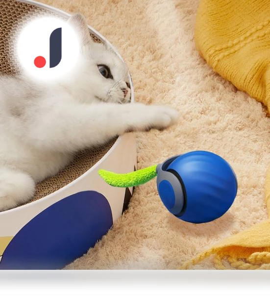 Interactive Cat Toy Ball — Cat Playthings, Pet park