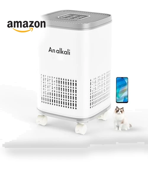Large Room Air Purifier with HEPA and AOP Alkali Bucket — Activated Carbon Air Purifiers, BWS Alkali Inc.