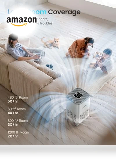 Large Room Air Purifier with HEPA and AOP Alkali Bucket — Activated Carbon Air Purifiers, BWS Alkali Inc.