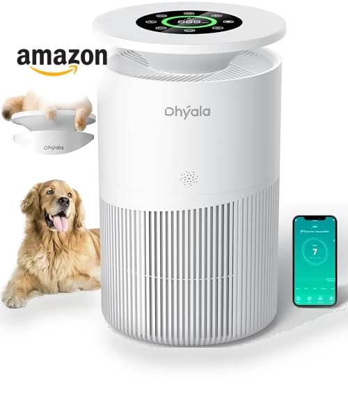 Large Room Air Purifier — HEPA Air Purifiers, Dhyala