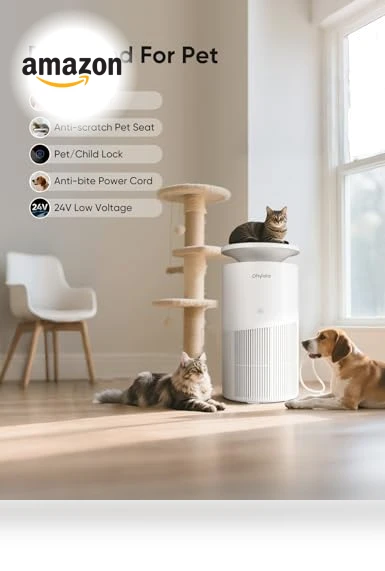 Large Room Air Purifier — HEPA Air Purifiers, Dhyala