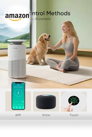 Large Room Air Purifier — HEPA Air Purifiers, Dhyala