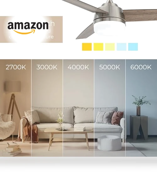 Smart 3-Blade Ceiling Fan with LED Light Kit — Ceiling Fan Lighting Solutions, East Grove Home