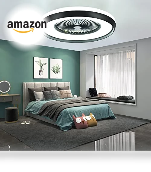 Bladeless Ceiling Fan with Light — Ceiling Fans & Accessories, HUMHOLD