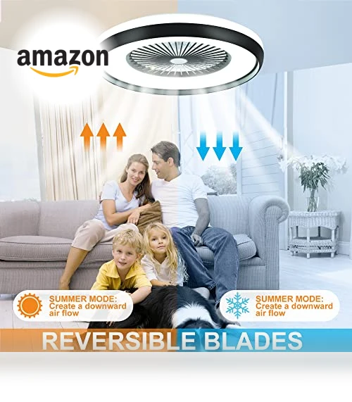 Bladeless Ceiling Fan with Light — Ceiling Fans & Accessories, HUMHOLD