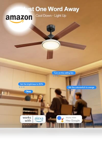 Smart Ceiling Fan with Lights — Ceiling Fan Wall Controls, Lumary