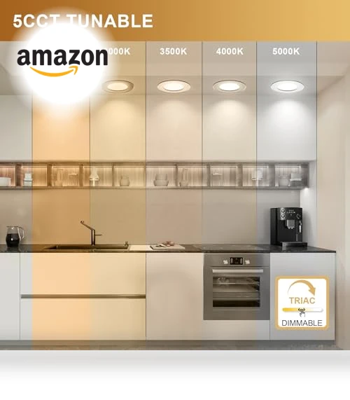 Smart Downlight Recessed Ceiling Light — LED, Puzzles