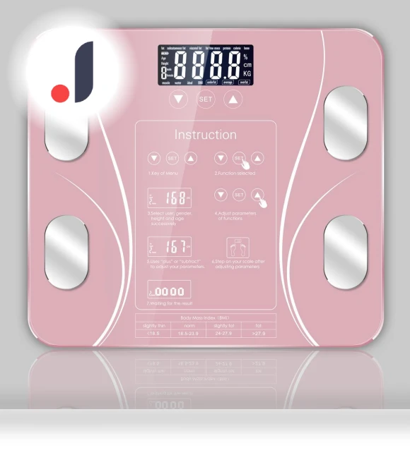 Smart Body Fat Scale — Weight Management Tools, Factory Discount Outlet