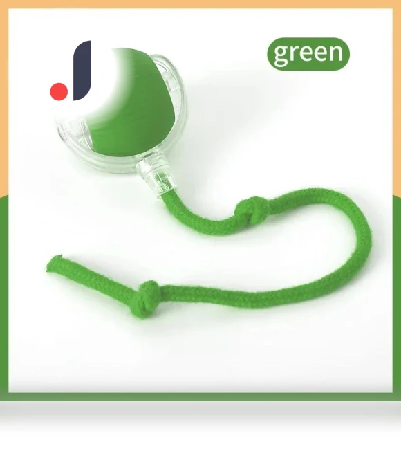 Interactive Pet Toy Ball — Interactive Animal Companions, JUN JUN