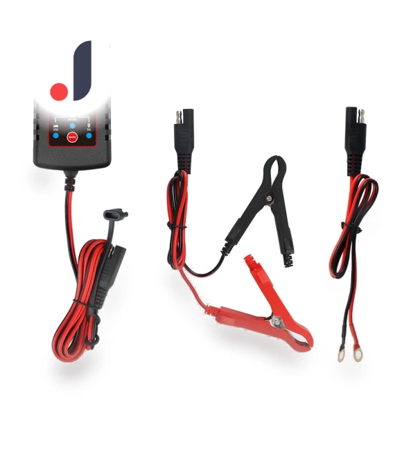 Multiple Protections Smart Battery Charger — Battery Chargers, Auto Home Solutions