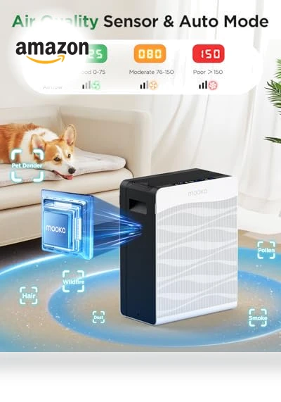 Double-Sided Air Purifier with PM 2.5 Monitor — Activated Carbon Air Purifiers, Mooka