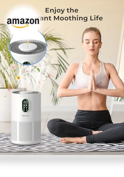 Large Room Air Purifier with HEPA Filter and Night Light — HEPA Air Purifiers, WESTHEY