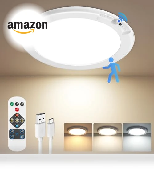 Rechargeable Motion Sensor Ceiling Light — Overhead Lighting, Bairth