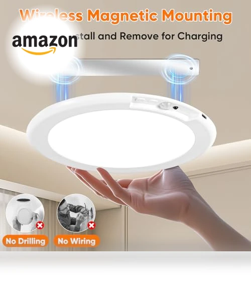 Rechargeable Motion Sensor Ceiling Light — Overhead Lighting, Bairth