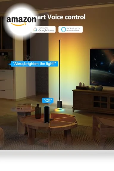 RGB Corner Floor Lamp — Standing Lights, Lanmonlily