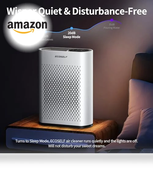 Smart WiFi Air Purifier — Activated Carbon Air Purifiers, ECOSELF