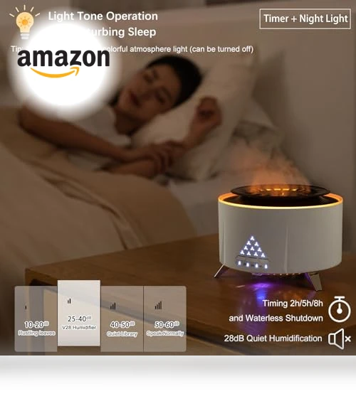 Small Cool Mist Humidifier & Essential Oil Diffuser — Air Moisturizers, HODEMI