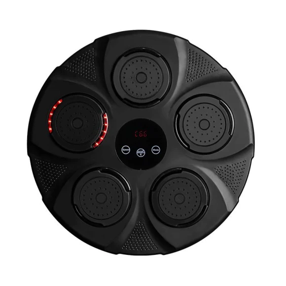 Smart Musical Boxing Target — Boxing Training Gear, Binchi Outdoor Equipment