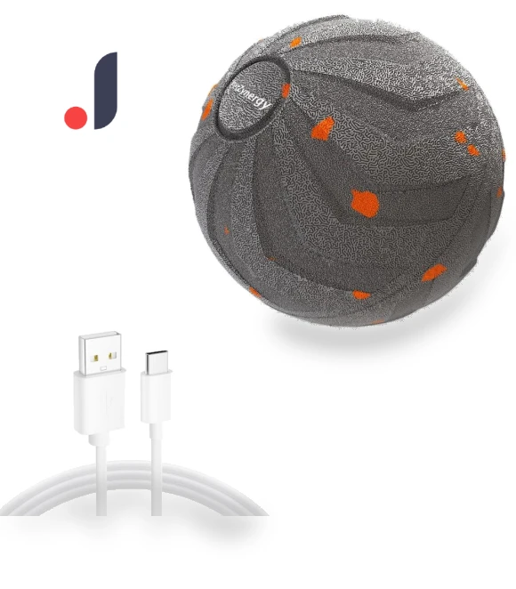 Rechargeable Smart Dog Toy Ball — Balls, Naituo