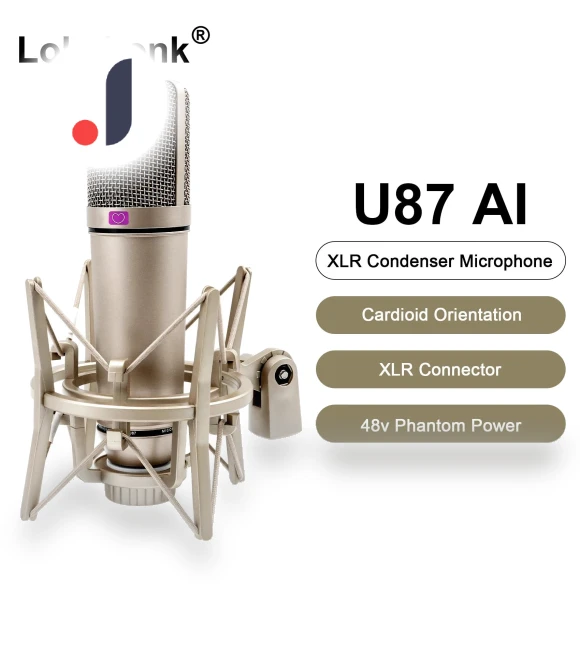 Professional Cardioid Condenser Microphone — Condenser, ZPG