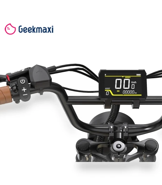 Electric Bike — Electric Self-Balancing Scooters, Onesport