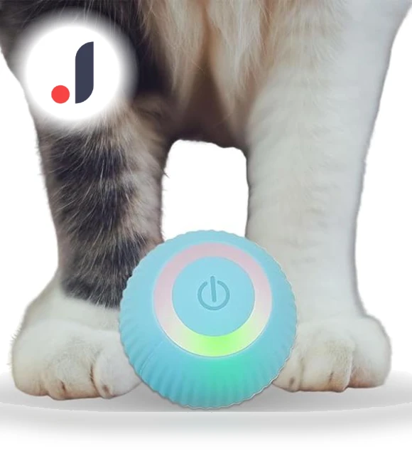 Interactive Cat Toy Ball — Cat Playthings, Holland Lec